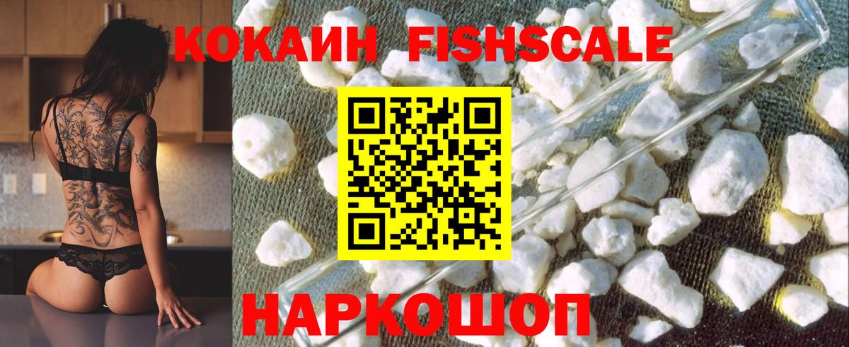 COCAIN Fish Scale  COCAIN Боливия  Вход с VPN  Орехово-Зуево 