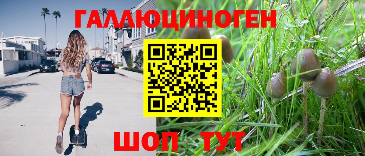 где продают   Вход с VPN  Орехово-Зуево  Псилоцибиновые грибы MAGIC MUSHROOMS 
