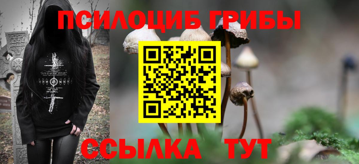 Галлюциногенные грибы мицелий Орехово-Зуево